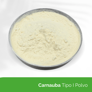 Carnauba Tipo I en Polvo