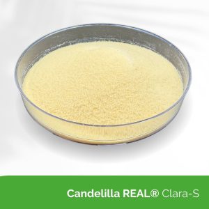 Candelilla REAL® Clara-S