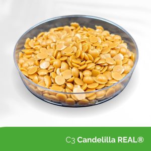 C3 Candelilla REAL® 7839
