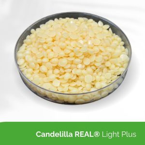 Candelilla REAL® Light Plus