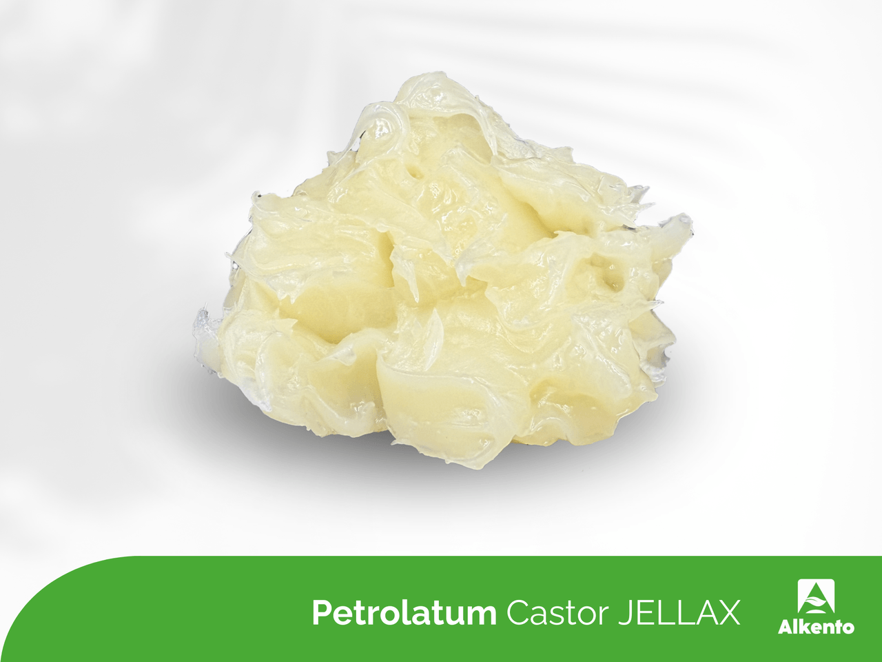 Castor JELLAX