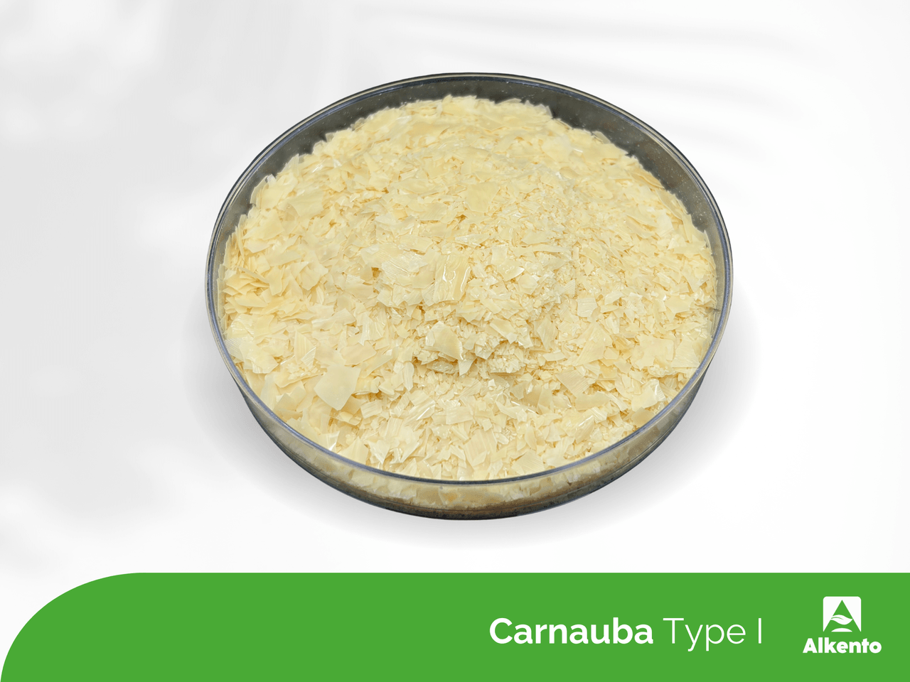Carnauba Type I