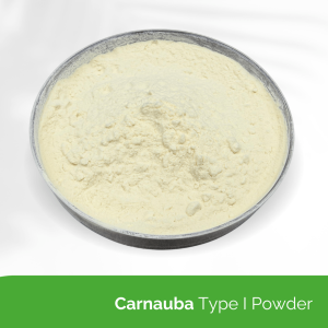 Carnauba Type I Powder