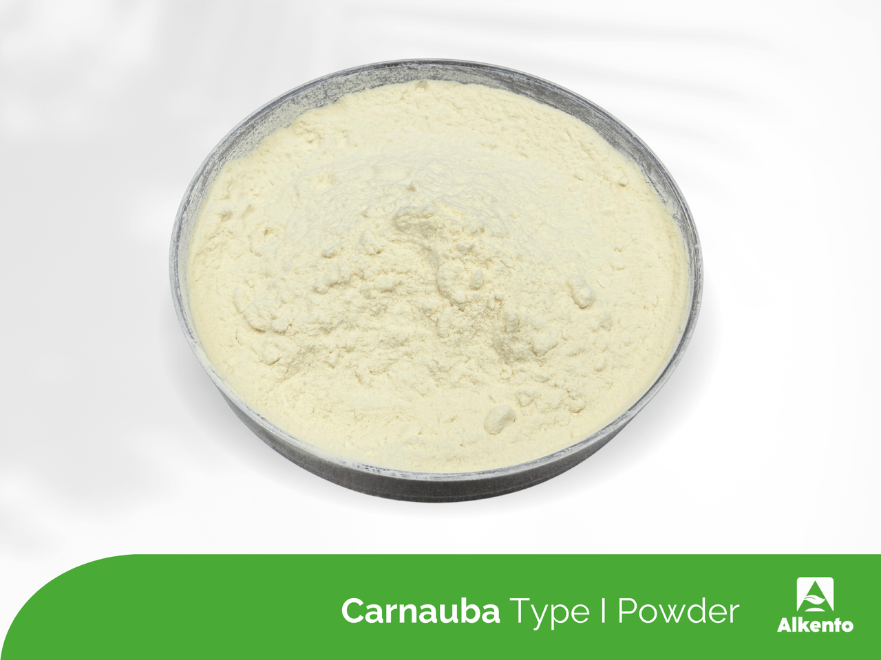 Carnauba Type I Powder