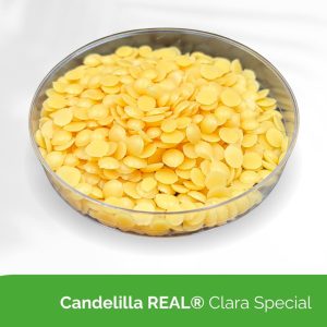 Candelilla REAL® Clara Especial
