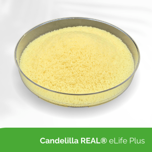 Candelilla REAL® eLife Plus